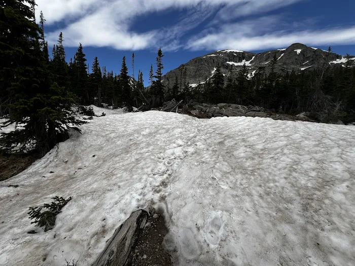 Pear Lake 9