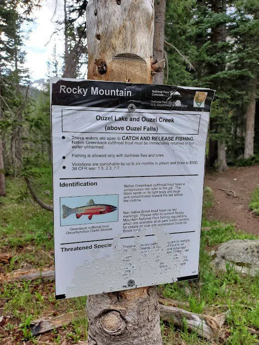 Ouzel Lake 8