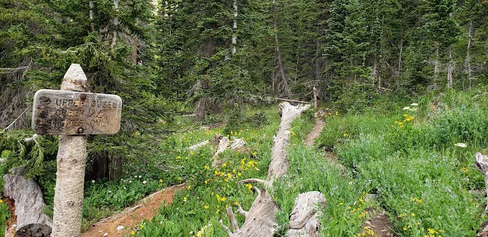 Upper Ouzel Creek 6