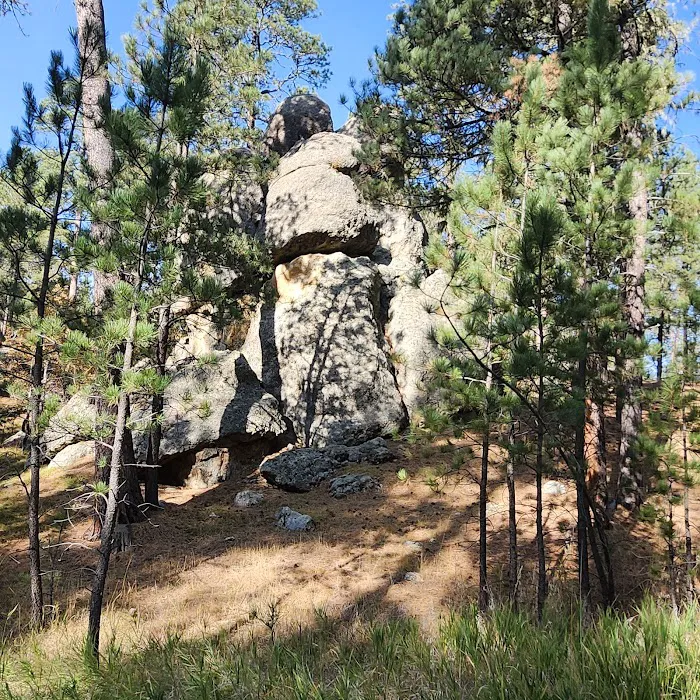 Bismark Lake Campground 3