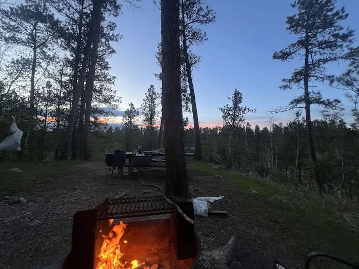 Bismark Lake Campground 6