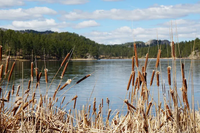 Stockade Lake South Campground 4