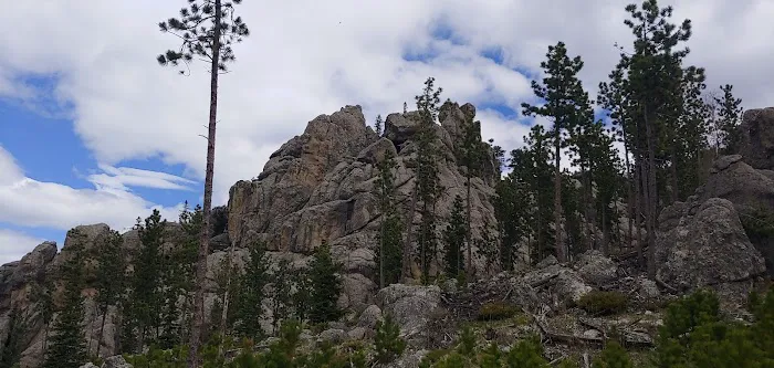 Stockade Lake South Campground 6