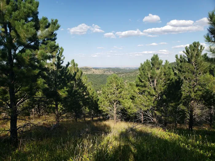Blue Bell Campground 2