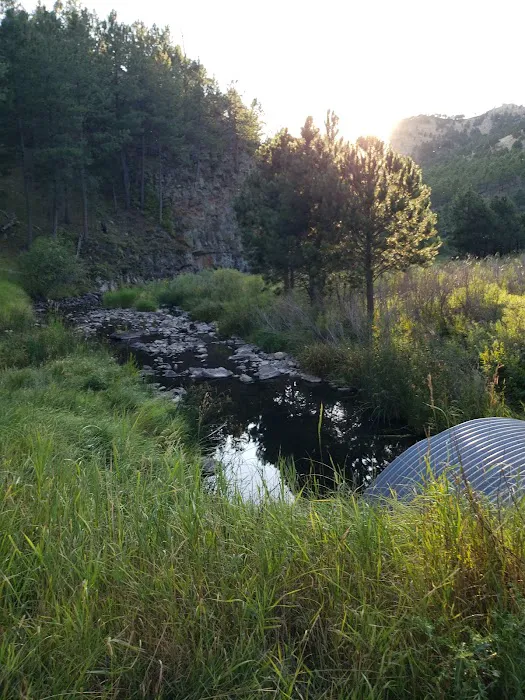 Blue Bell Campground 3
