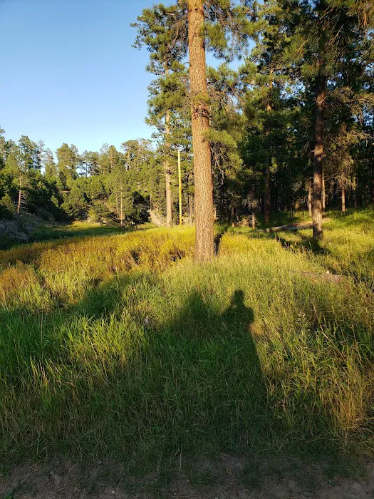 Blue Bell Campground 4
