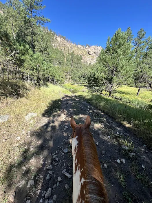 French Creek Horse Camp 4
