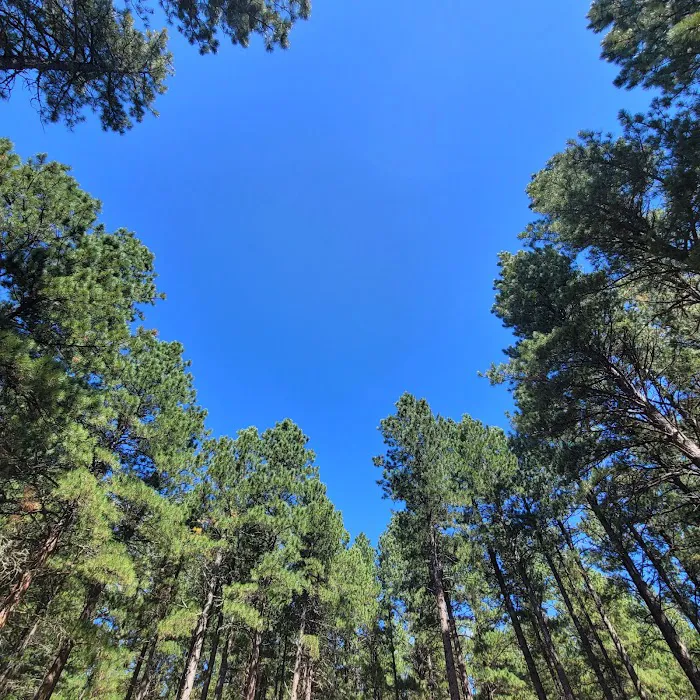 Center Lake Campground 3
