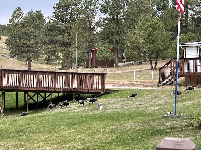 Timber Ridge Campground 1
