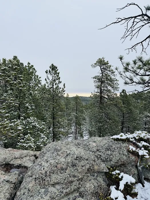 Cloud Nine Camping 5