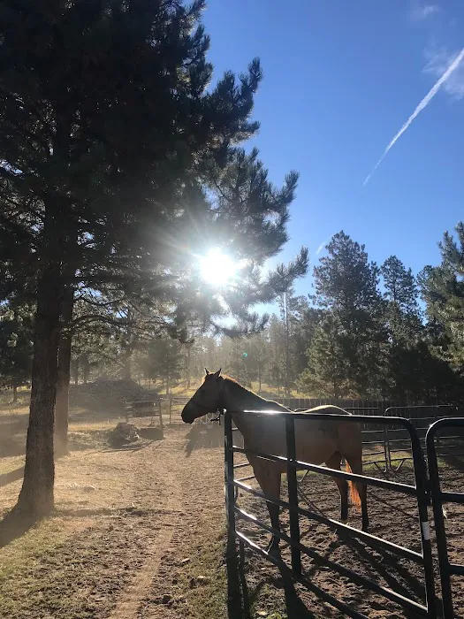 Broken Arrow Campground 9