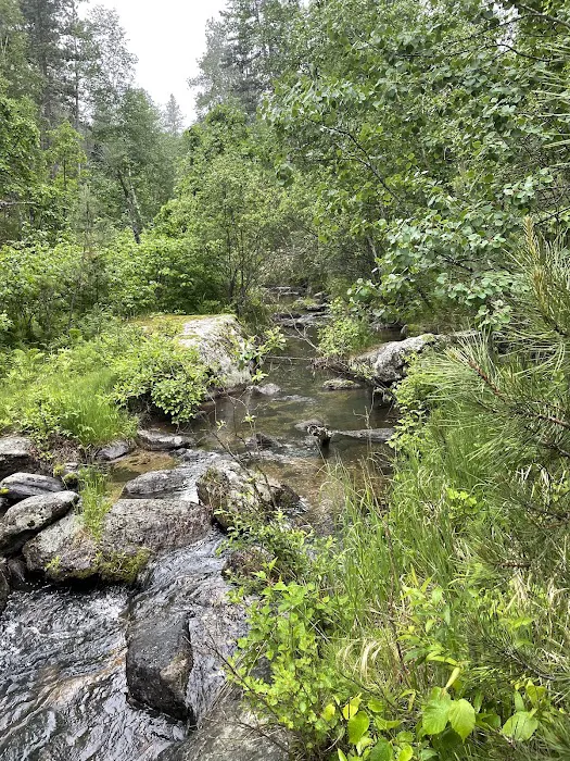 Grizzly Bear Campground 1