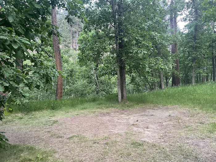 Grizzly Bear Campground 0