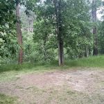 Grizzly Bear Campground