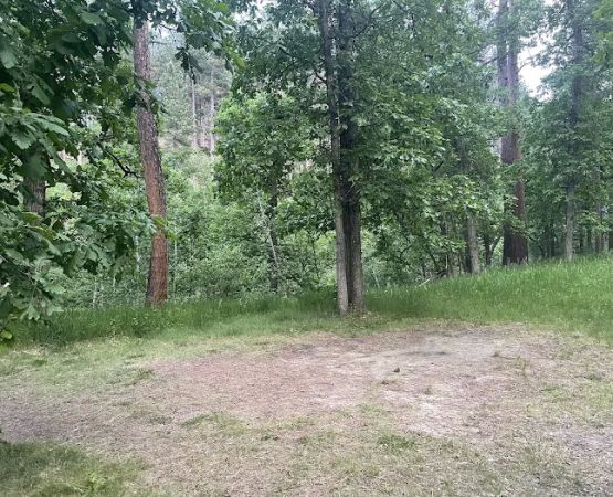 Grizzly Bear Campground