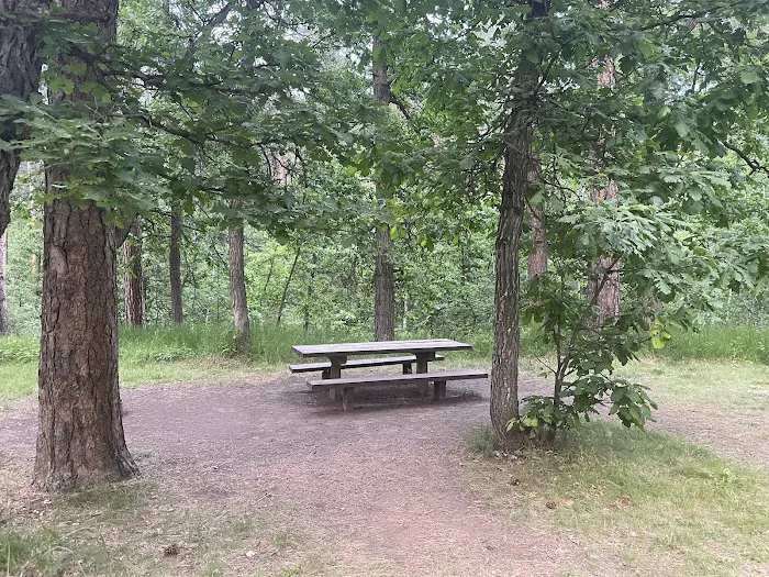 Grizzly Bear Campground 2