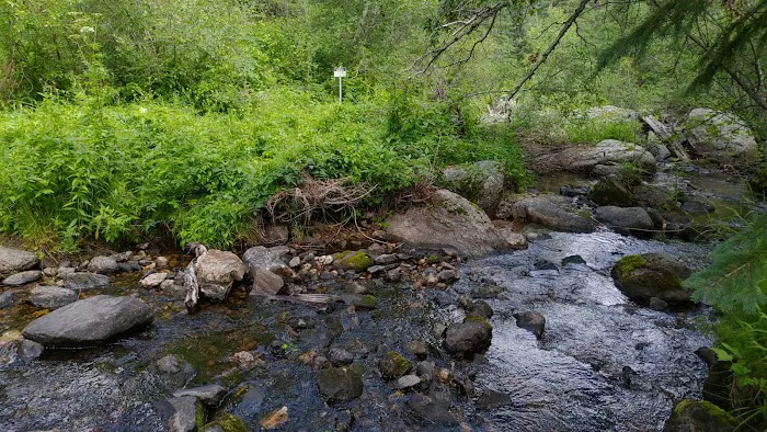 Grizzly Creek Primitive 4