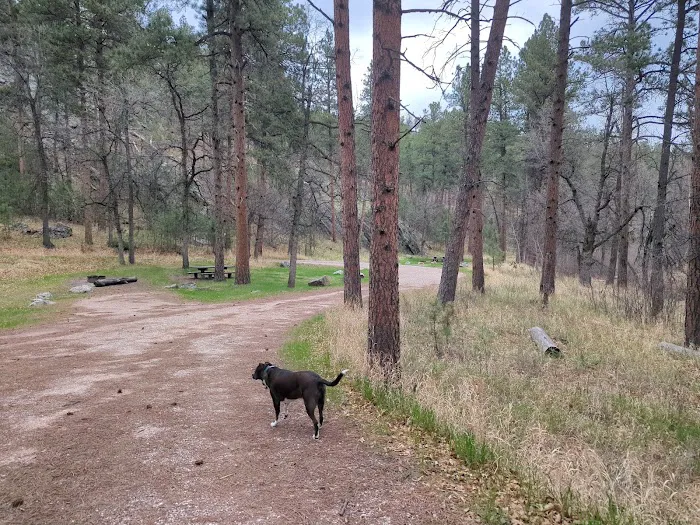 Grizzly Creek Primitive 8