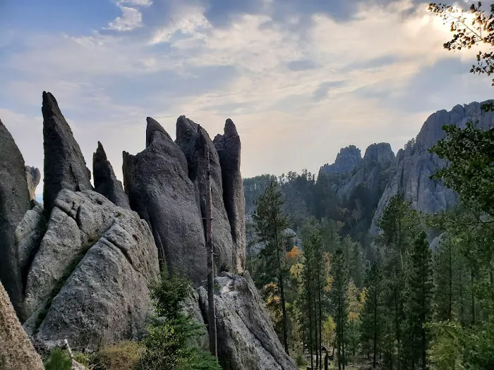 Sylvan Lake Campground 6