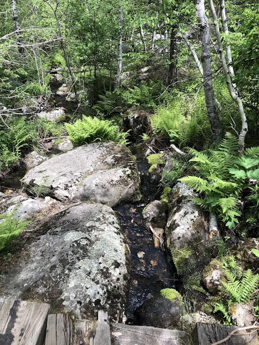 Horsethief Lake 8
