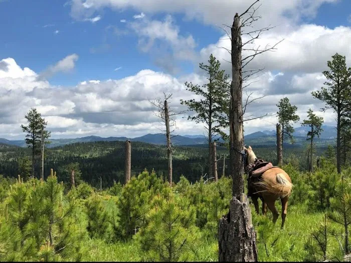 Bridle Ridge Horse & RV Camp 2