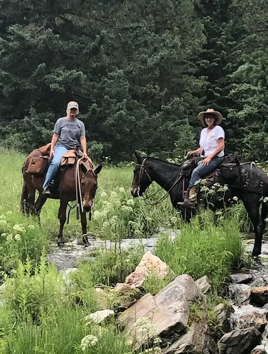 Bridle Ridge Horse & RV Camp 3