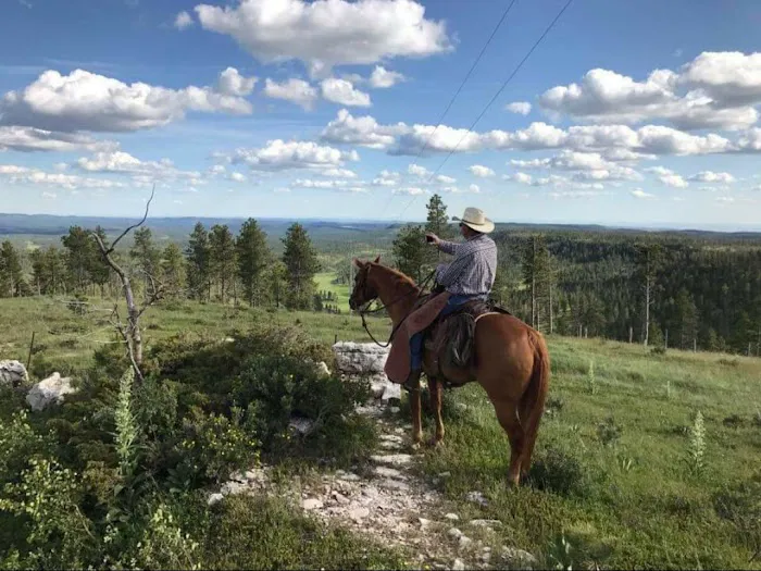 Bridle Ridge Horse & RV Camp 5