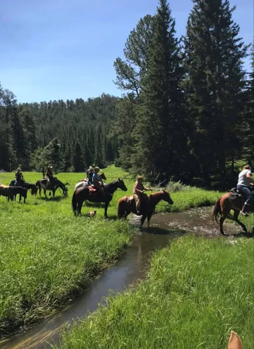 Bridle Ridge Horse & RV Camp 6