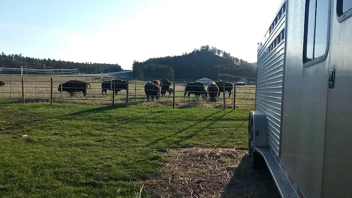 Hell Canyon Horse Camp 7