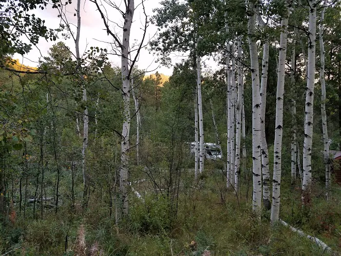 Oreville Campground 7
