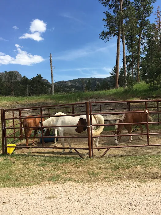 Willow Creek Horse Camp 0
