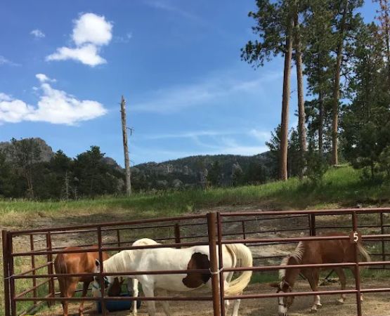 Willow Creek Horse Camp