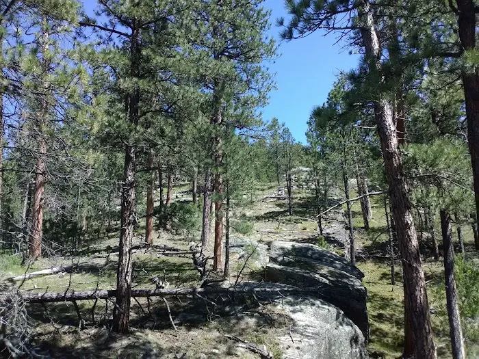 Willow Creek Horse Camp 2
