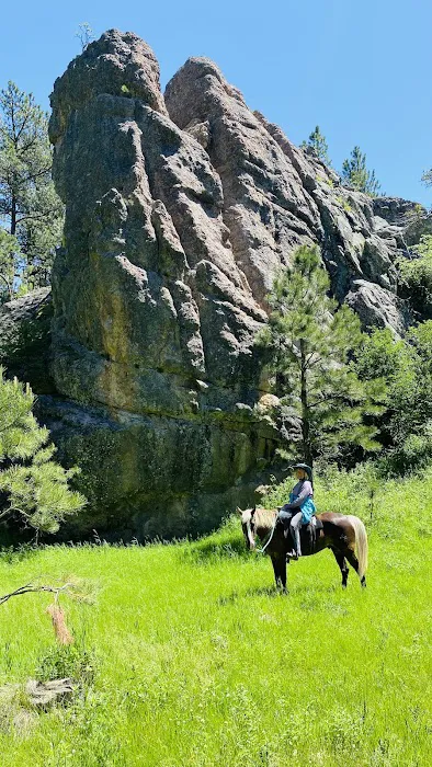 Aspen Meadows Ranch Horsecamp 4