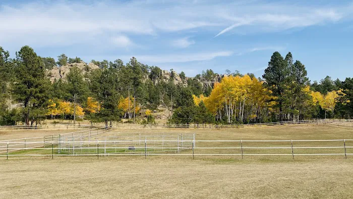 Aspen Meadows Ranch Horsecamp 0