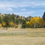 Aspen Meadows Ranch Horsecamp