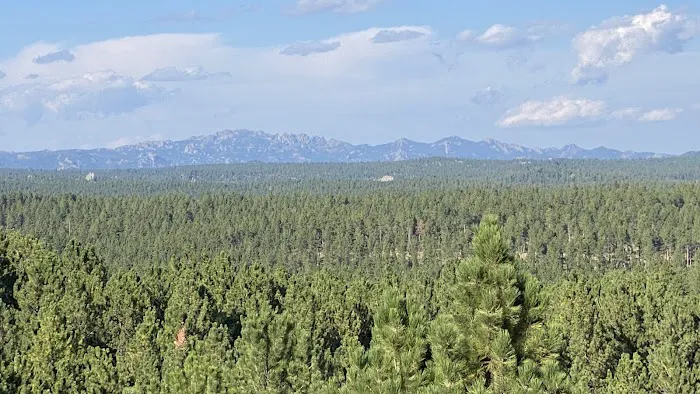 Aspen Meadows Ranch Horsecamp 3