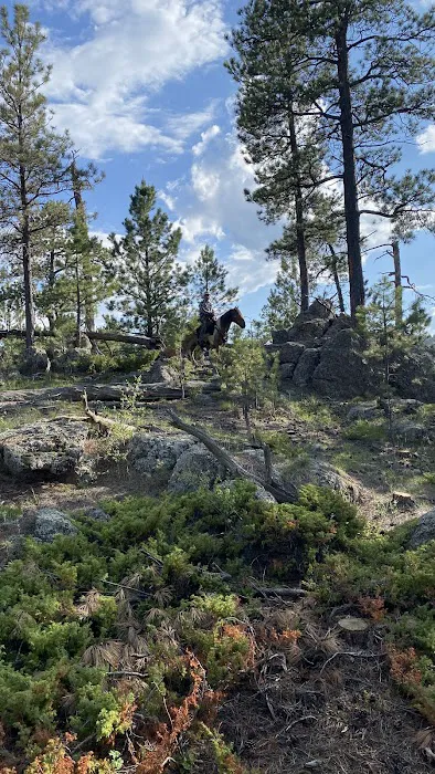 Aspen Meadows Ranch Horsecamp 1