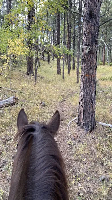 Aspen Meadows Ranch Horsecamp 5