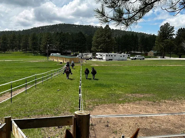 Aspen Meadows Ranch Horsecamp 9