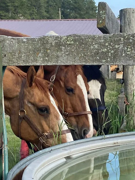 TC Horse Camp 1