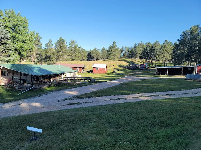 TC Horse Camp 2