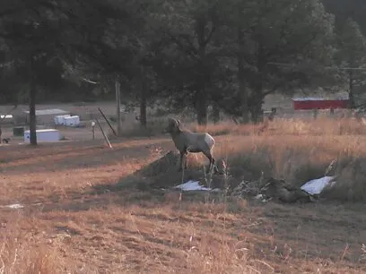 Three Forks Campground 3