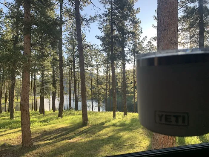 South Beach Unit of Sheridan Lake Campground 3