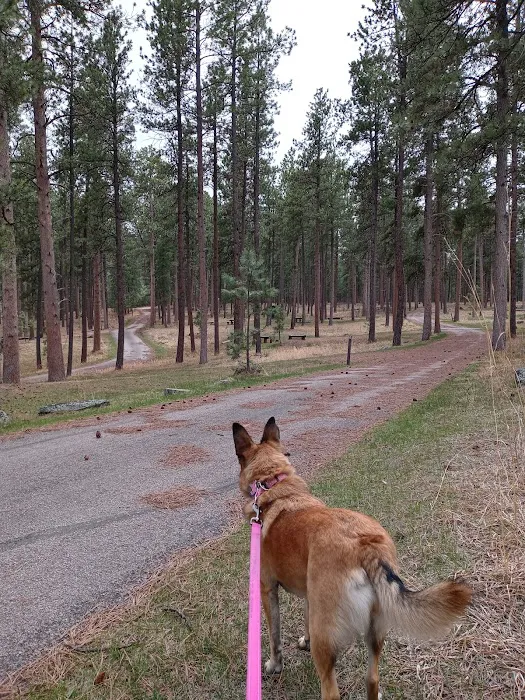 South Beach Unit of Sheridan Lake Campground 0