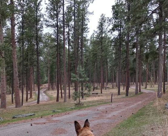 South Beach Unit of Sheridan Lake Campground