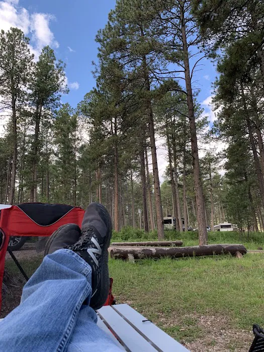 South Beach Unit of Sheridan Lake Campground 6