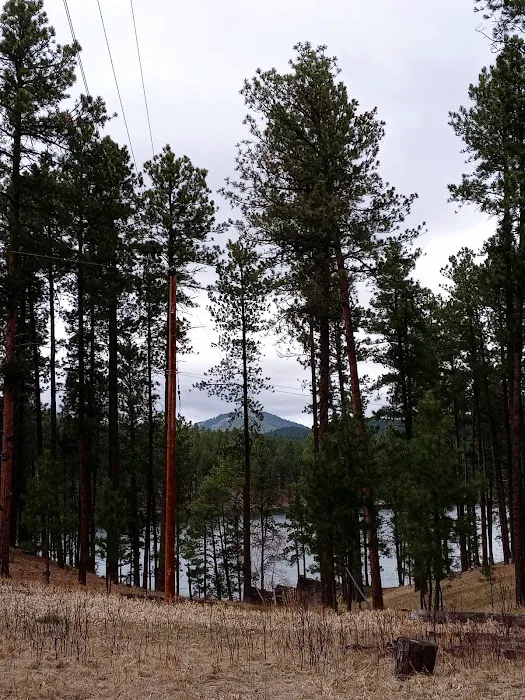 South Beach Unit of Sheridan Lake Campground 5