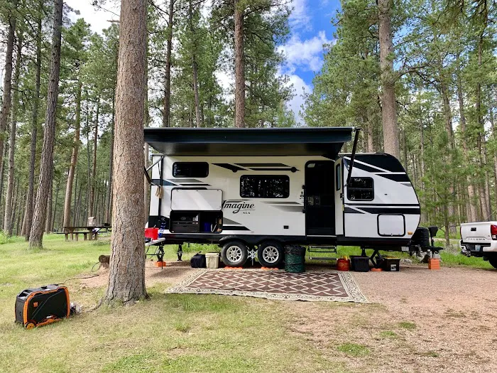 South Beach Unit of Sheridan Lake Campground 7