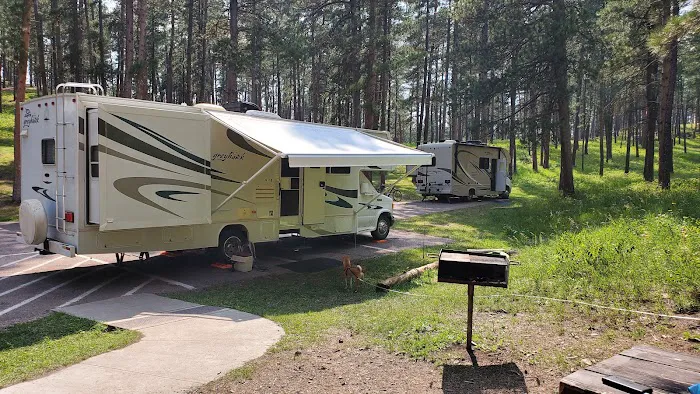 North Cove GROUP Campground 5